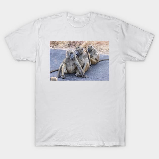 Grooming Baboons - Kruger Nationalpark, South Africa T-Shirt by holgermader